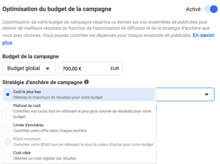 Capture d'écran : optimisation du budget et des enchères d'une campagne
