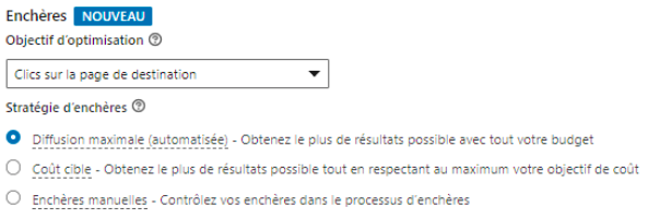 Capture d'écran : stratégie d'enchères d'une campagne LinkedIn