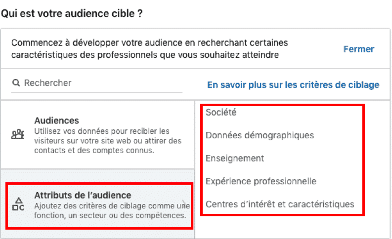 Capture d'écran : sélection des attributs d'audience LinkedIn