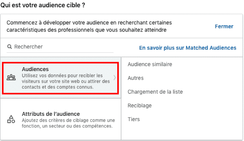 Capture d'écran : définition de l'audience cible LinkedIn