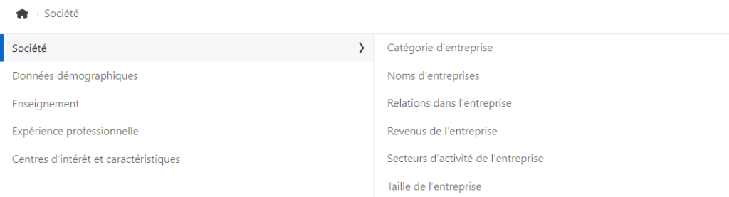 Capture d'écran du menu d'attributs d'audience LinkedIn