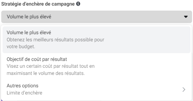 Capture d'écran : stratégie d'enchères d'une campagne Google Ads