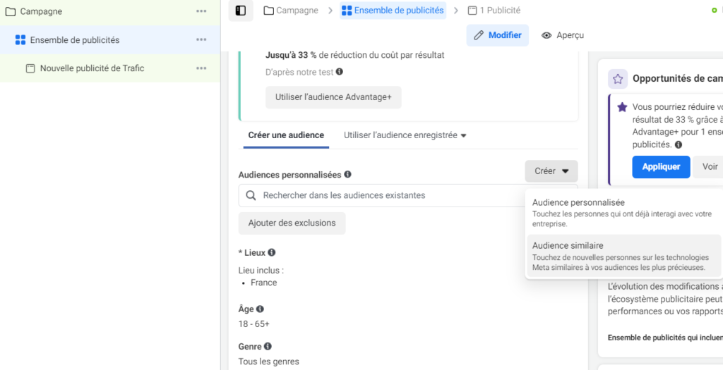 Capture d'écran : configuration d'une audience LinkedIn