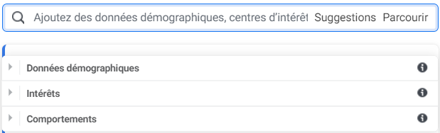 Capture d'écran : ajout de données démographiques et centres d'intérêt
