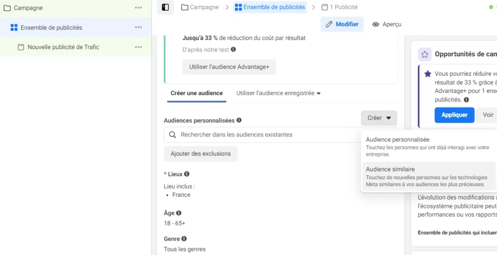 Capture d'écran : création d'une audience LinkedIn
