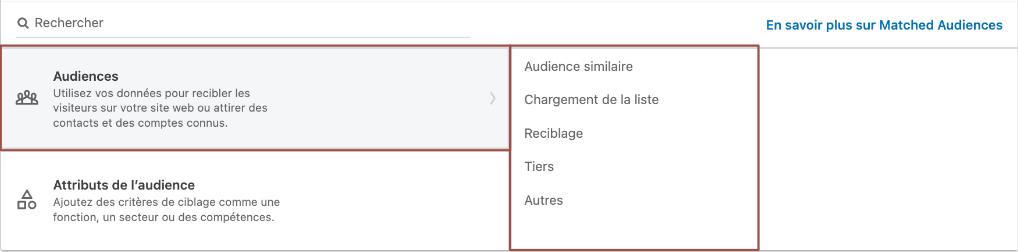 Capture d'écran des attributs d'audience LinkedIn