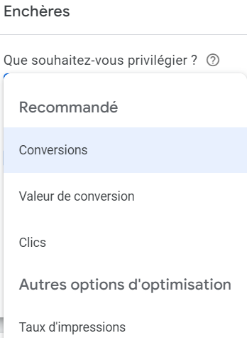 Capture d'écran : choix de la stratégie d'enchères Google Ads