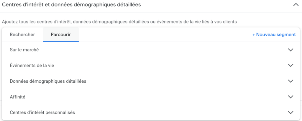 Capture d'écran : centres d'intérêt et données démographiques détaillés